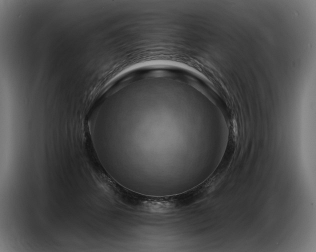 X0000086880512200704161224