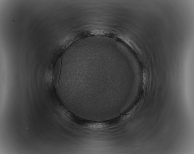 X0000086880513200704161224