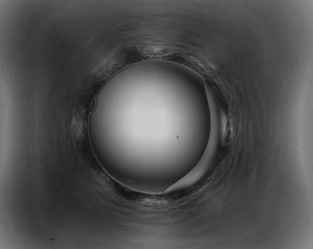 X0000086880515200704161224