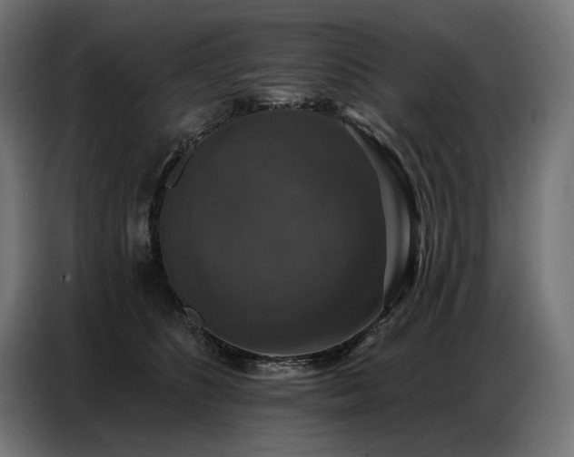 X0000086880516200704161224