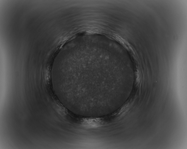 X0000086880517200704161224