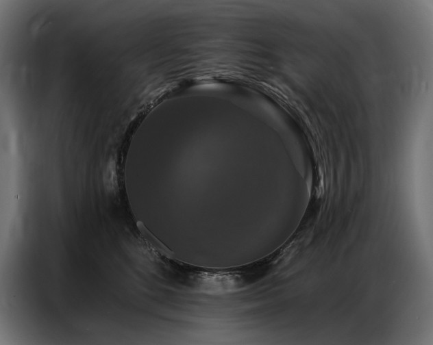 X0000086880520200704161224