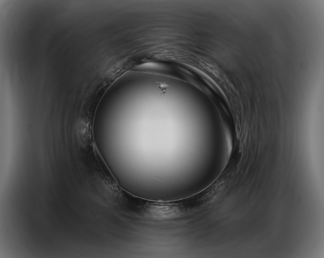 X0000086880521200704161224