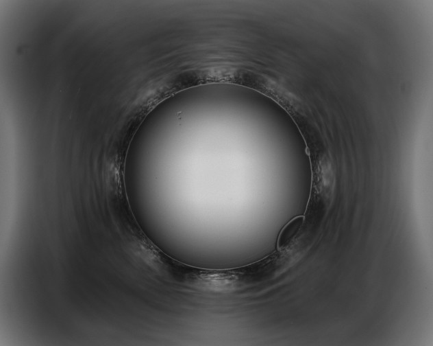 X0000086880522200704161224