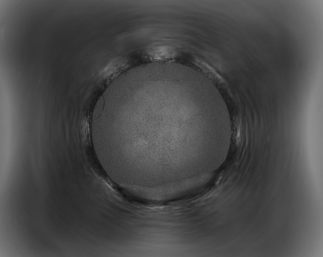 X0000086880523200704161224