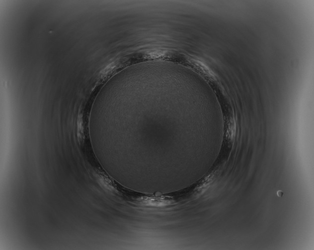 X0000086880524200704161224