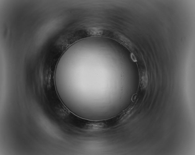 X0000086880525200704161224