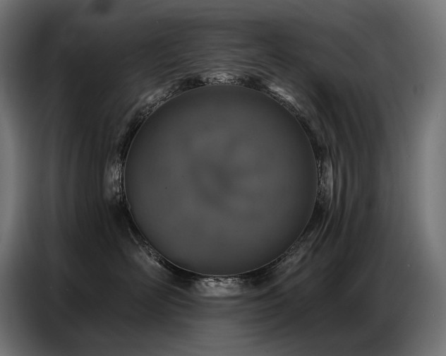 X0000086880526200704161224