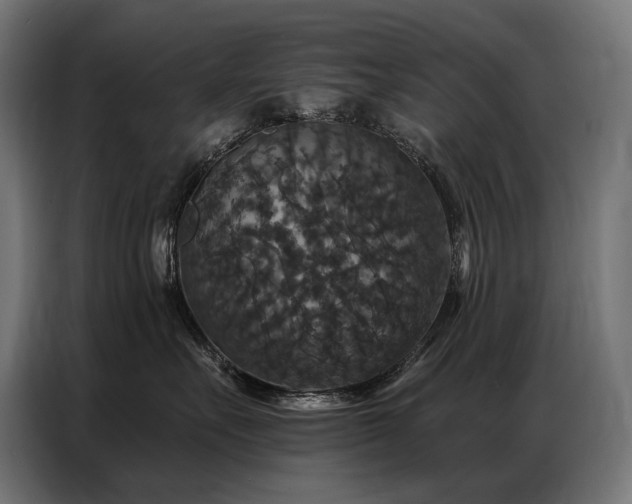 X0000086880527200704161224