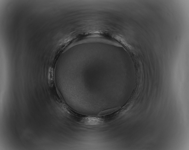 X0000086880528200704161224