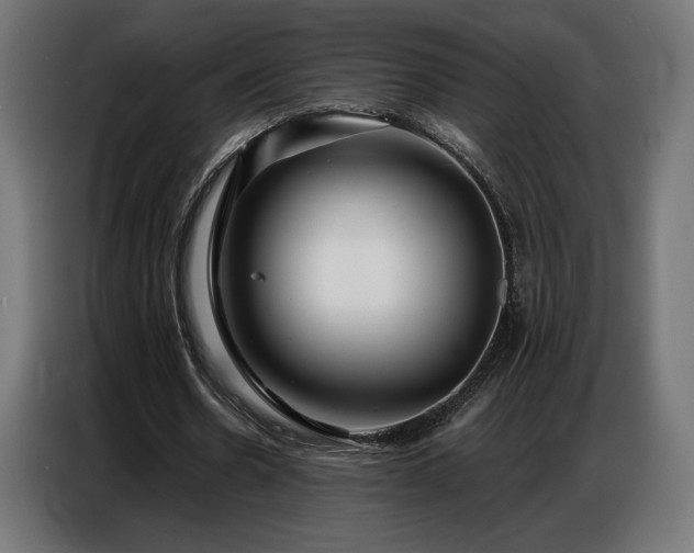 X0000086880530200704161223