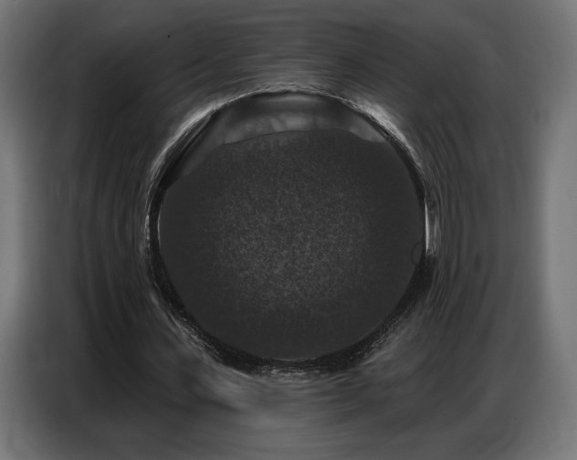 X0000086880531200704161223