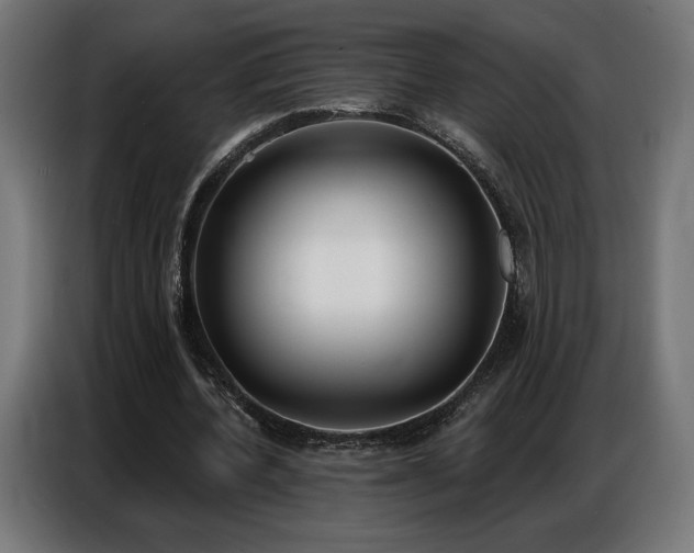 X0000086880532200704161223