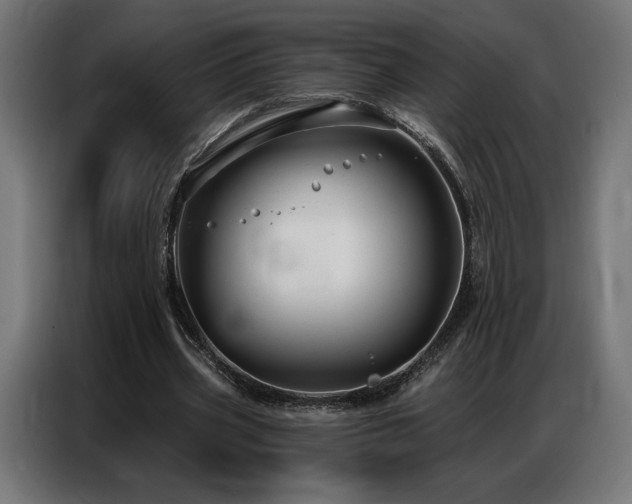 X0000086880533200704161223