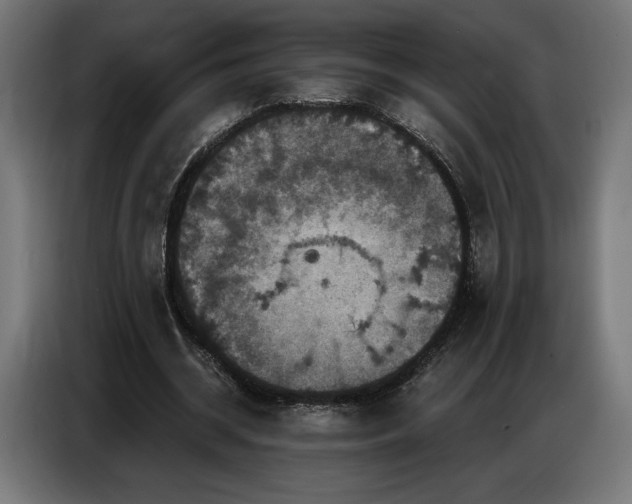 X0000086880534200704161223