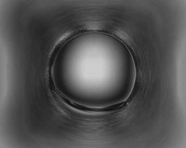 X0000086880535200704161223