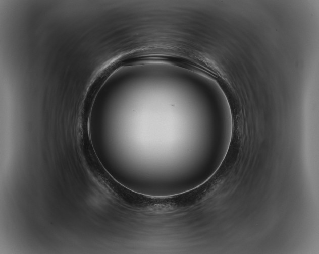 X0000086880536200704161223