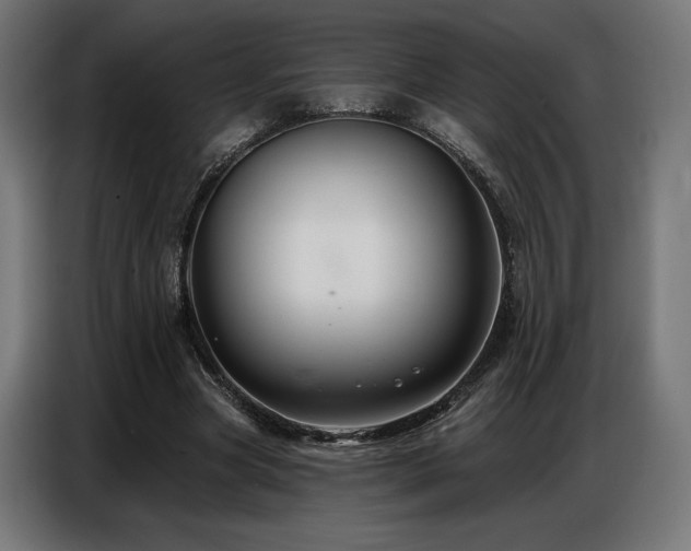 X0000086880537200704161223