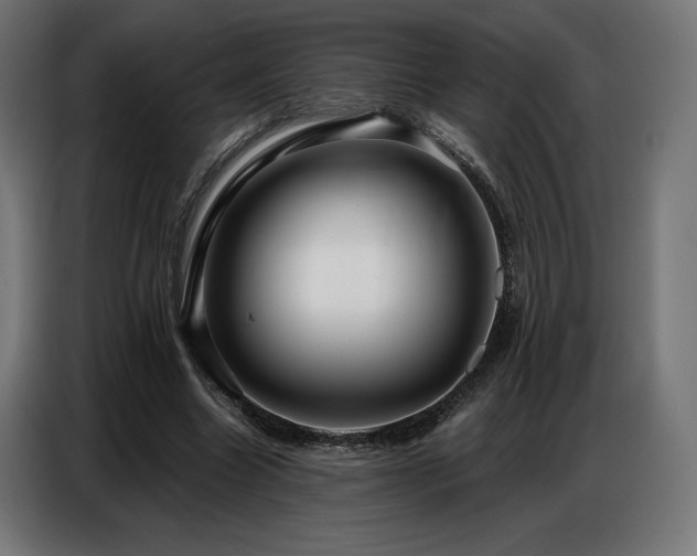 X0000086880538200704161223