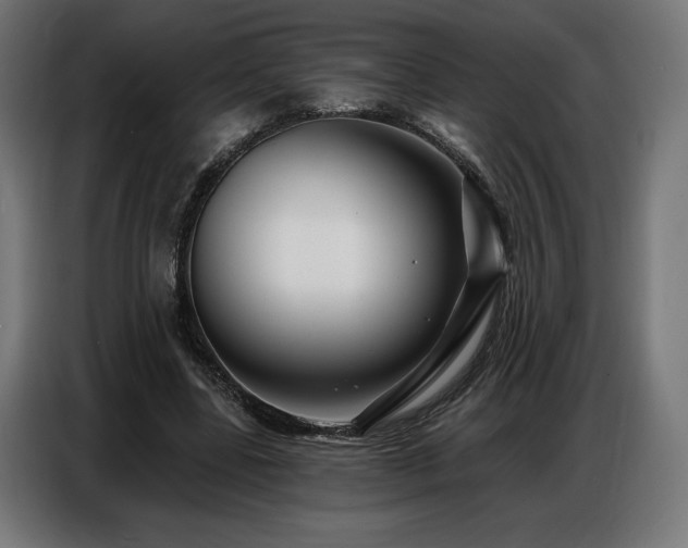 X0000086880539200704161223