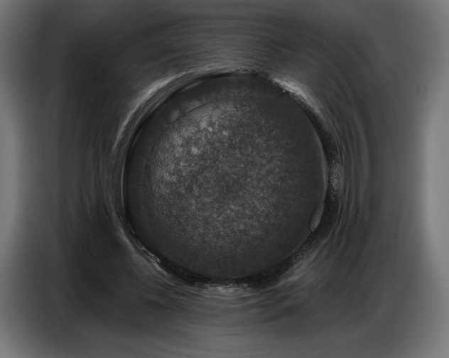 X0000086880540200704161223