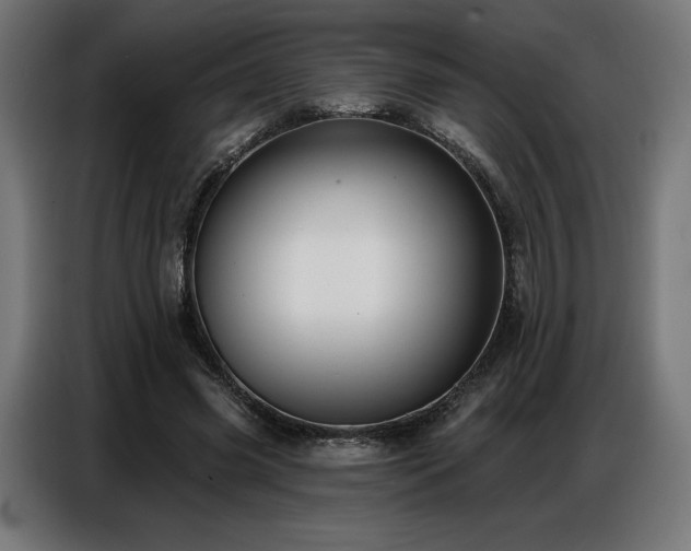 X0000086880541200704161223