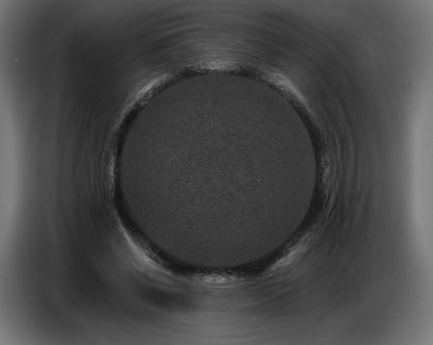 X0000086880542200704161223