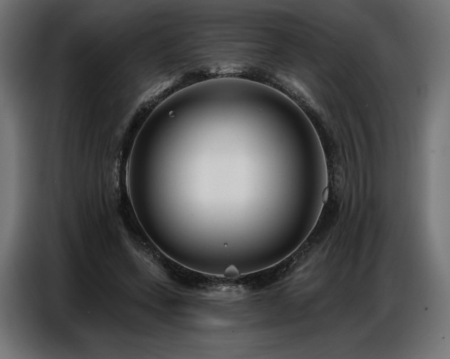 X0000086880543200704161223