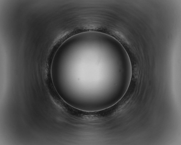 X0000086880544200704161223