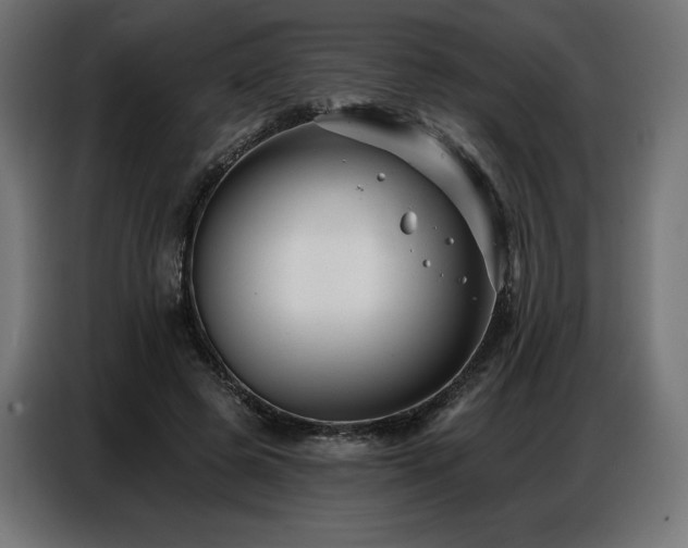 X0000086880545200704161223