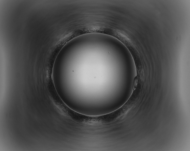 X0000086880546200704161223