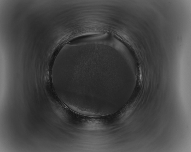 X0000086880547200704161223