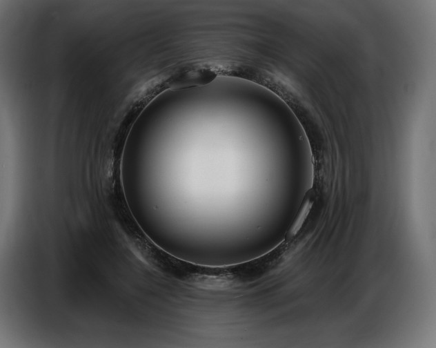 X0000086880548200704161223