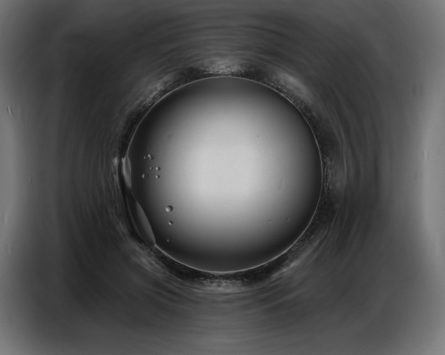 X0000086880549200704161223