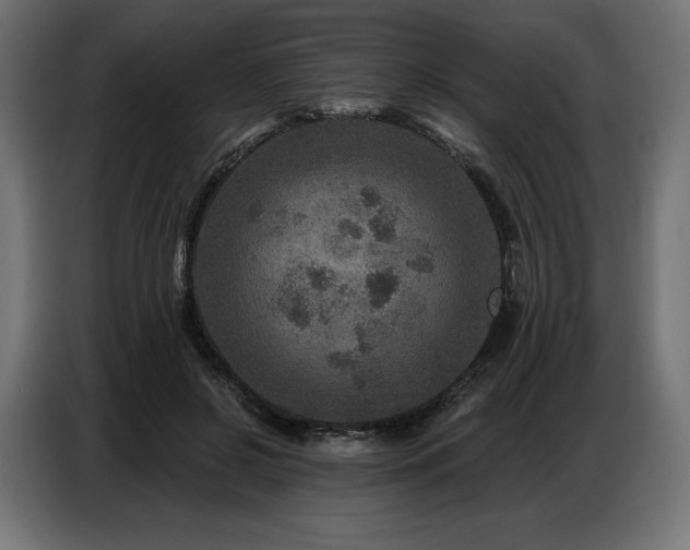 X0000086880550200704161223