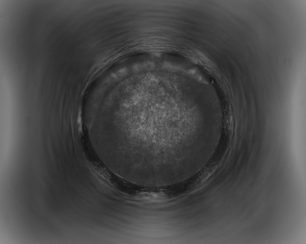 X0000086880552200704161223