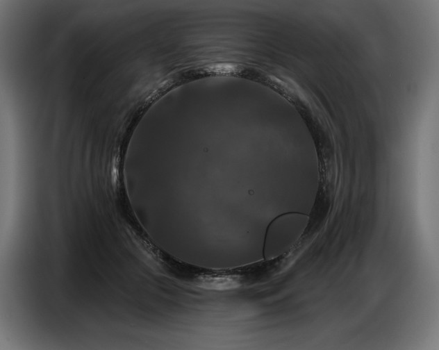 X0000086880553200704161223