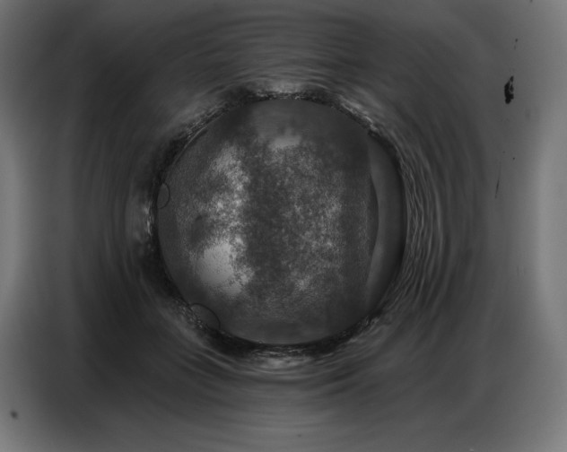 X0000086880555200704161223