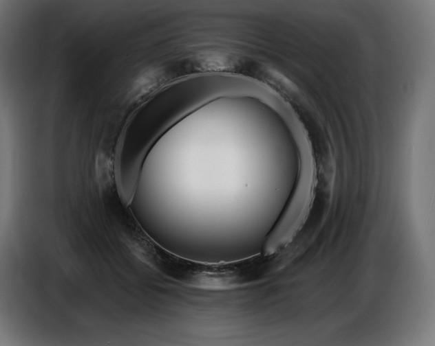 X0000086880556200704161223