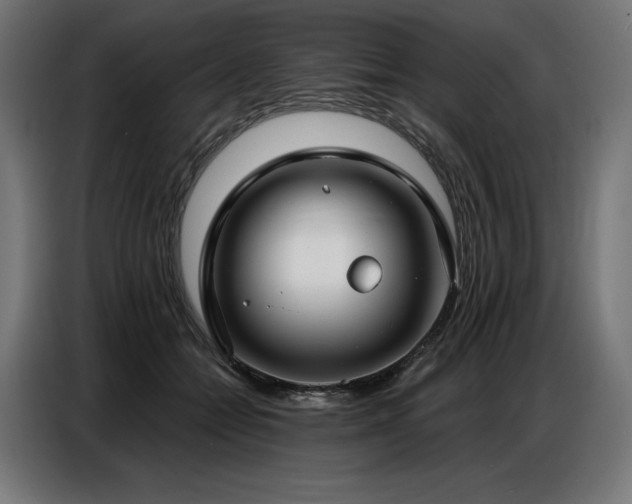 X0000086880558200704161223