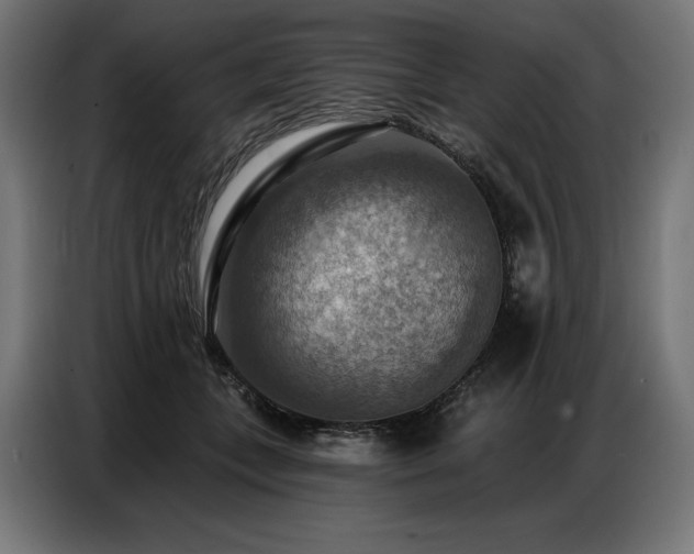 X0000086880559200704161223