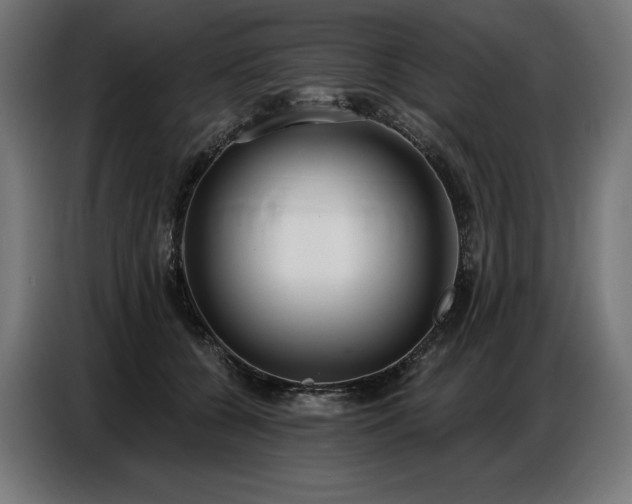 X0000086880560200704161224