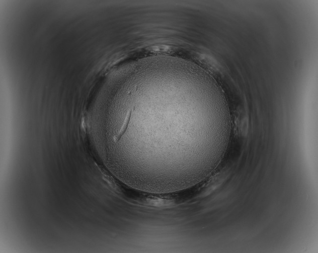 X0000086880561200704161224