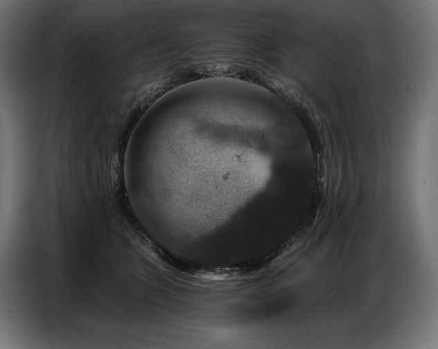 X0000086880563200704161224