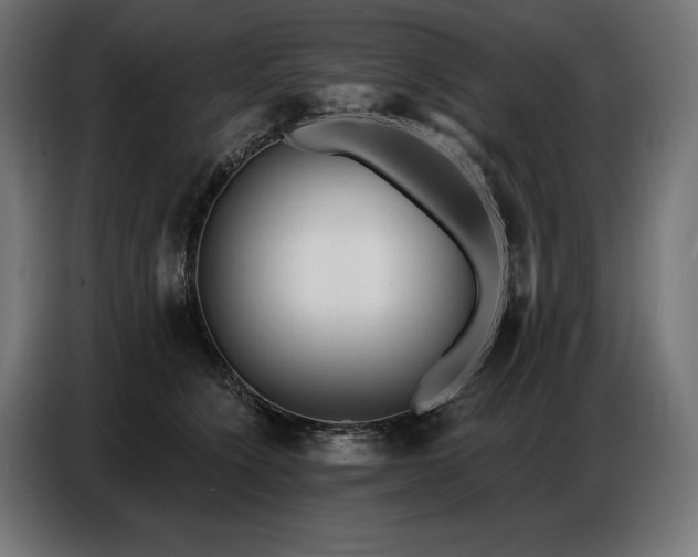 X0000086880564200704161224