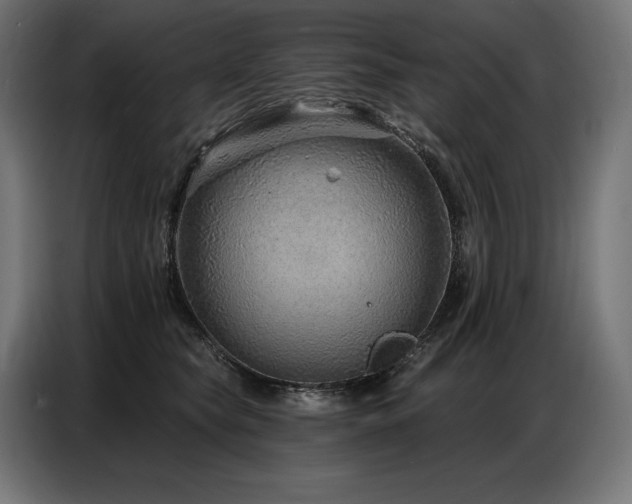 X0000086880565200704161224