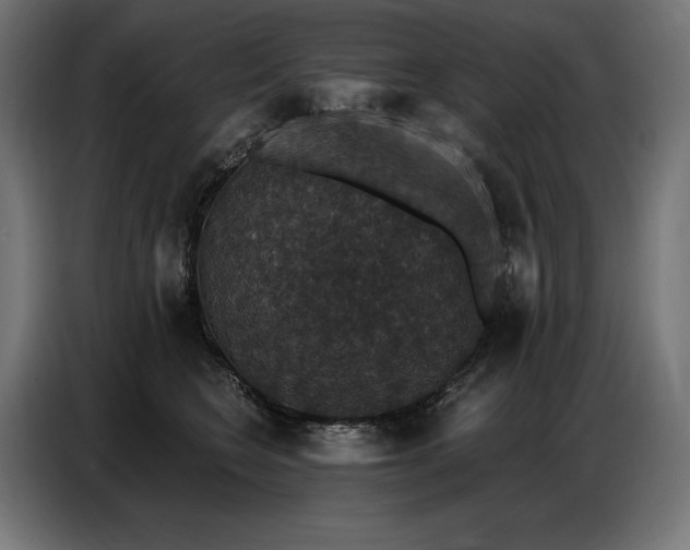 X0000086880566200704161224