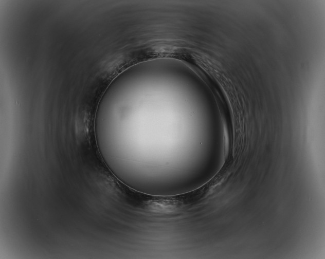 X0000086880567200704161224