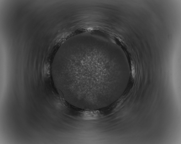 X0000086880571200704161224