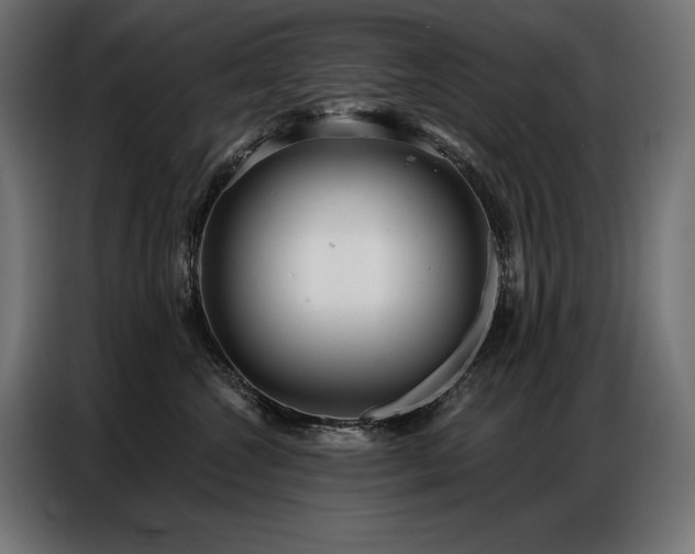 X0000086880572200704161224